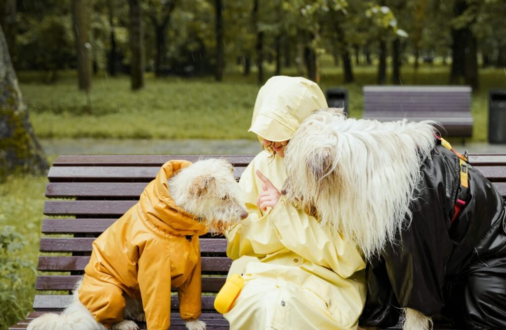 honden met regenjas